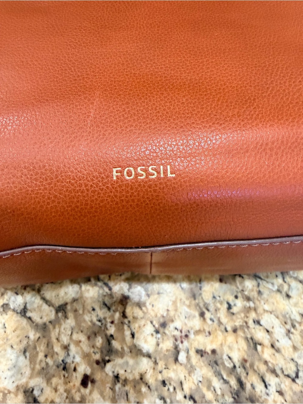 Fossil Fiona Satchel